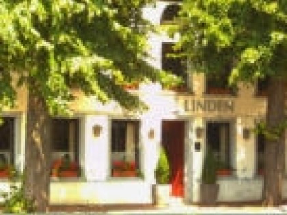 Фото: 3 Linden